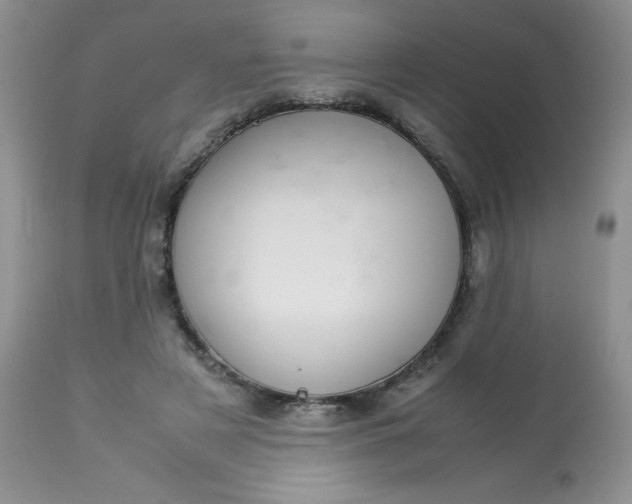 X0000113560497200910091418