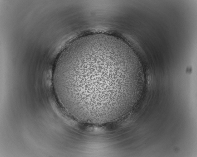 X0000113560498200910091418