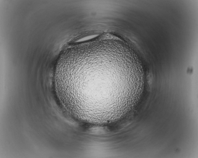 X0000113560499200910091418