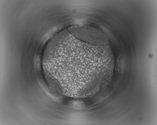 X0000113560500200910091418