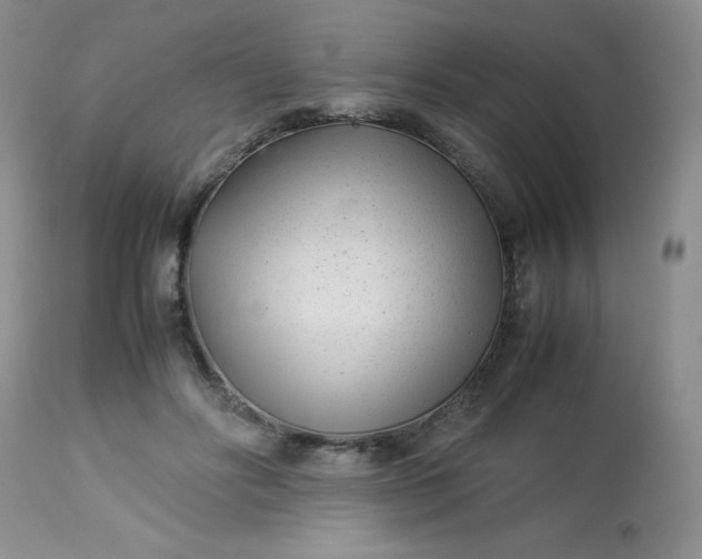 X0000113560502200910091418