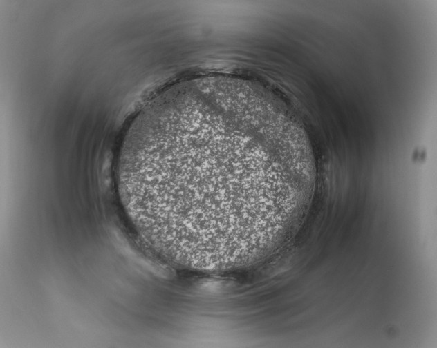 X0000113560504200910091418