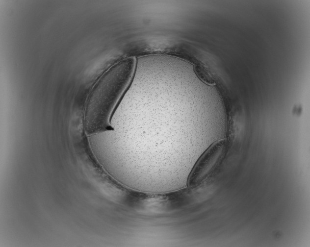X0000113560505200910091418