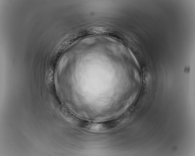 X0000113560507200910091418