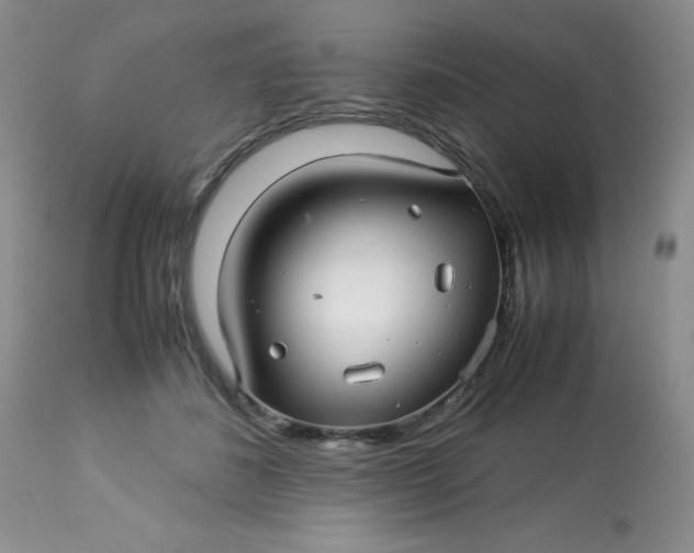 X0000113560508200910091418