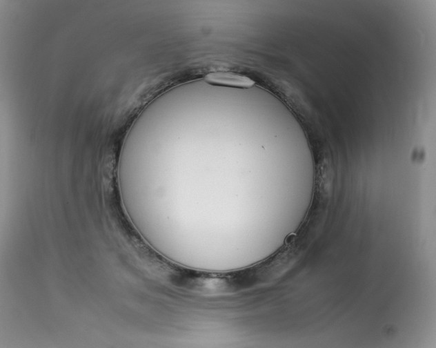 X0000113560509200910091418