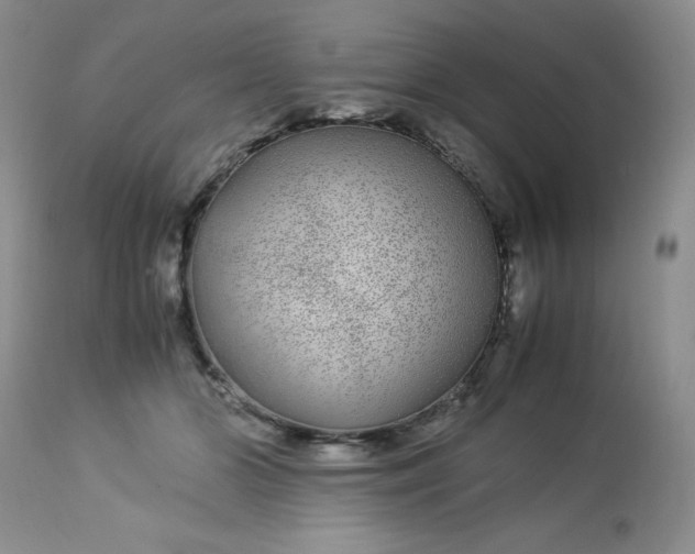 X0000113560510200910091418