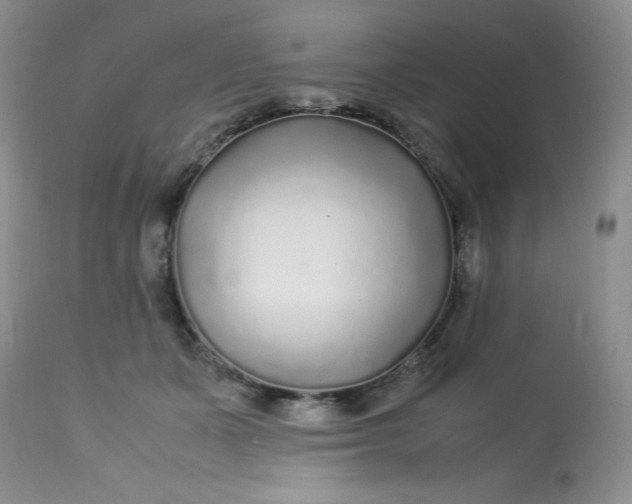 X0000113560511200910091417