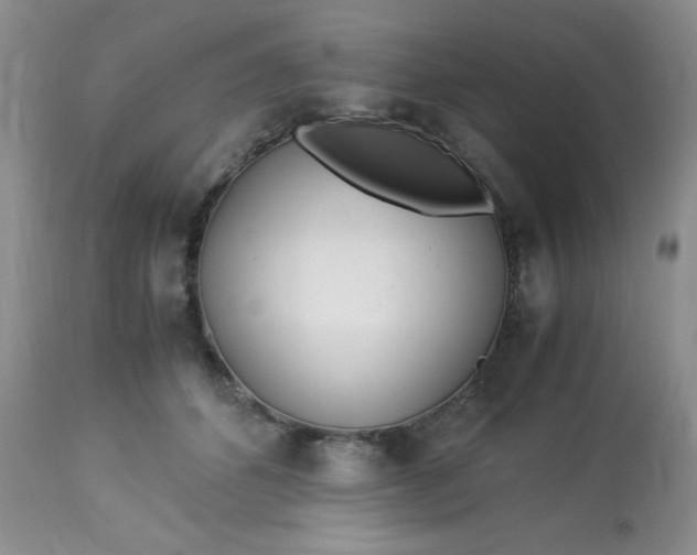 X0000113560512200910091417