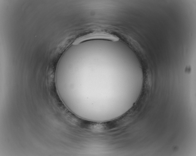 X0000113560513200910091417