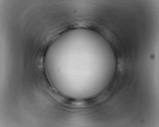 X0000113560514200910091417