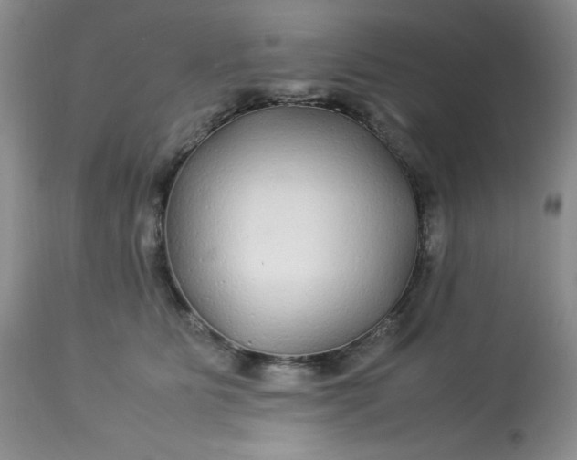 X0000113560515200910091417