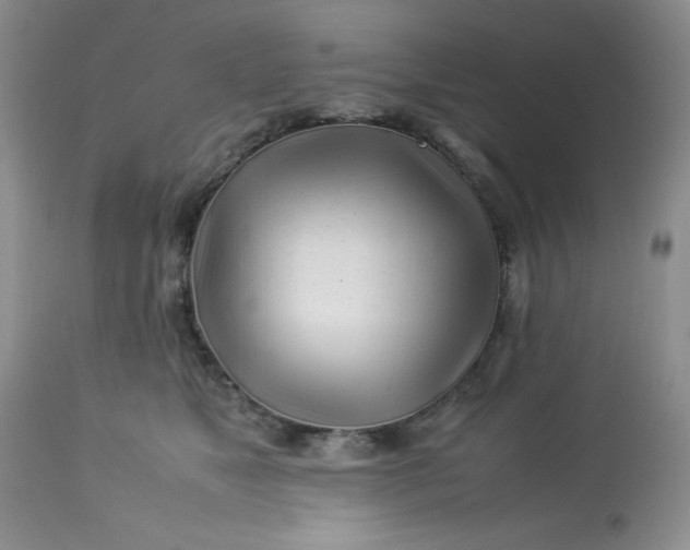 X0000113560517200910091417