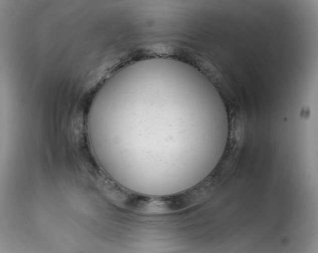 X0000113560518200910091417