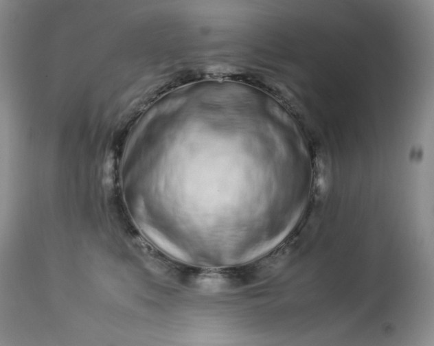 X0000113560519200910091417