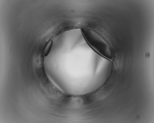 X0000113560520200910091417