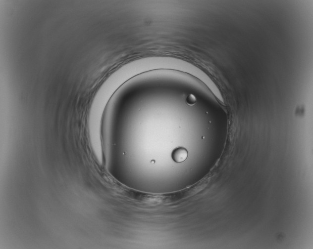 X0000113560521200910091417