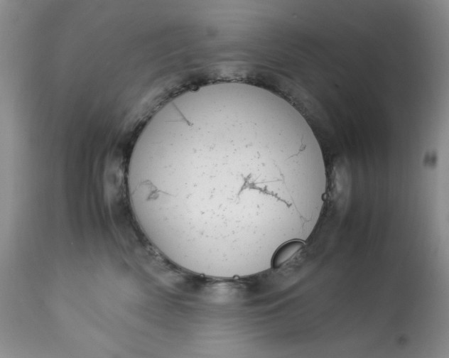 X0000113560522200910091417