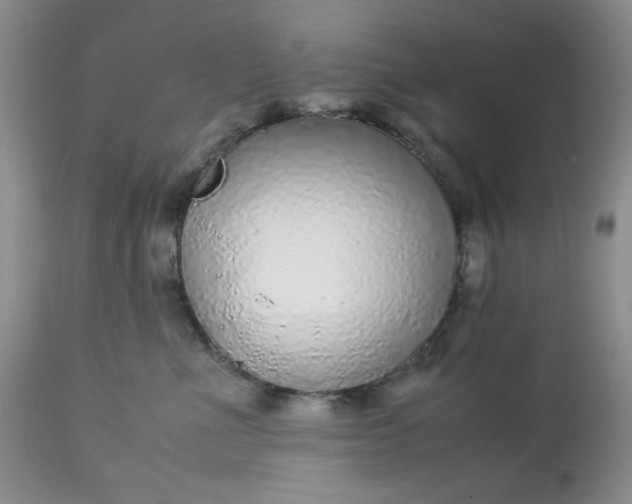 X0000113560523200910091417