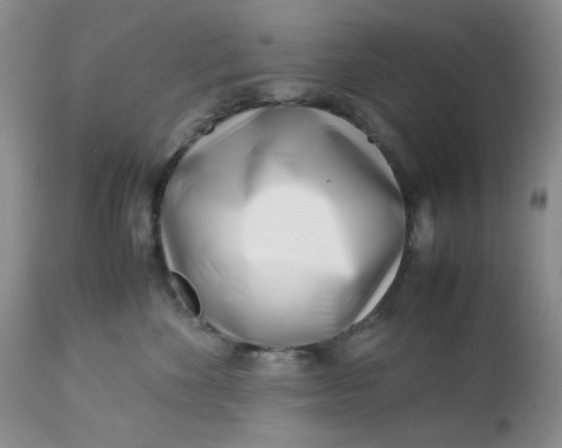 X0000113560524200910091417