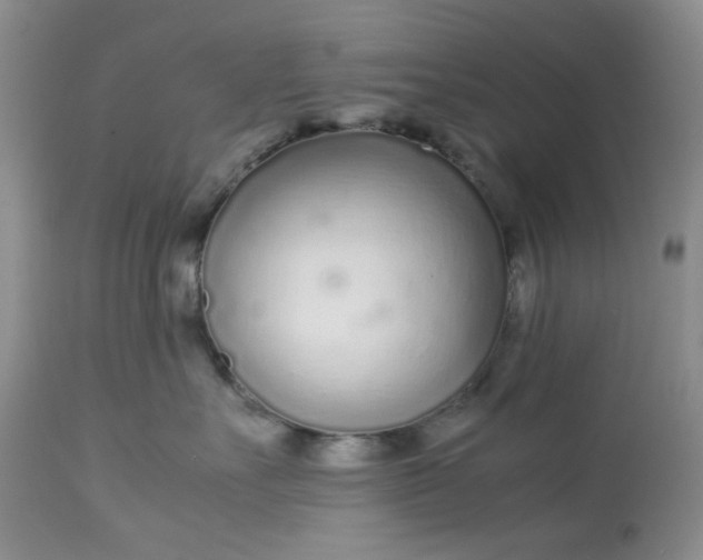 X0000113560527200910091417