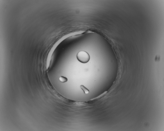 X0000113560528200910091417