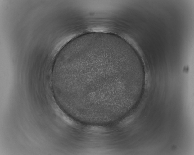 X0000113560529200910091416