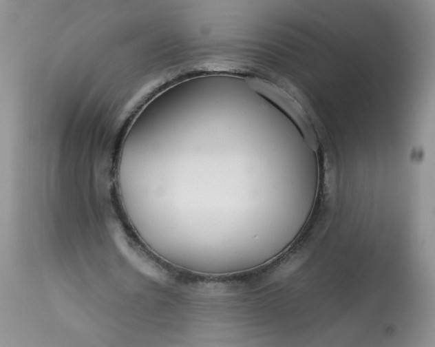 X0000113560530200910091416