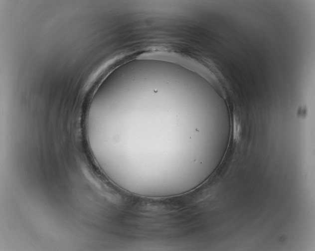 X0000113560531200910091416