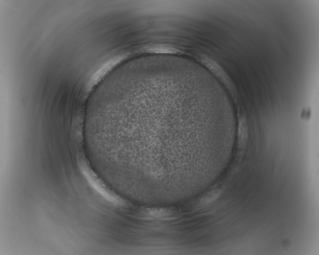 X0000113560533200910091416