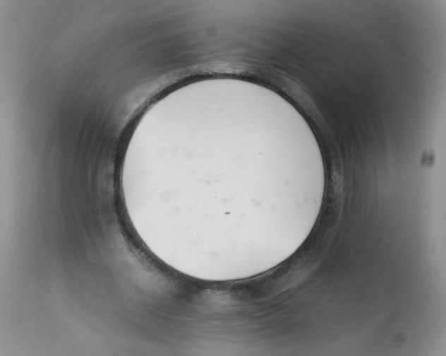 X0000113560534200910091416