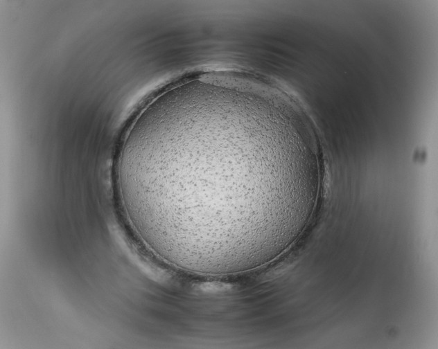 X0000113560535200910091417