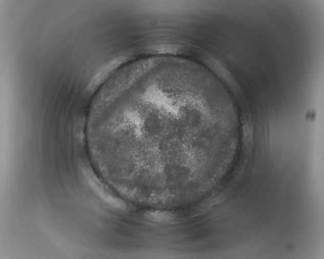 X0000113560537200910091417