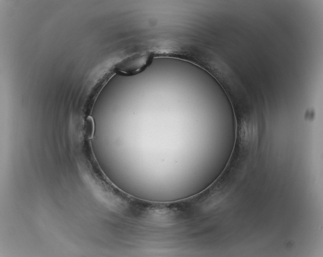 X0000113560540200910091417