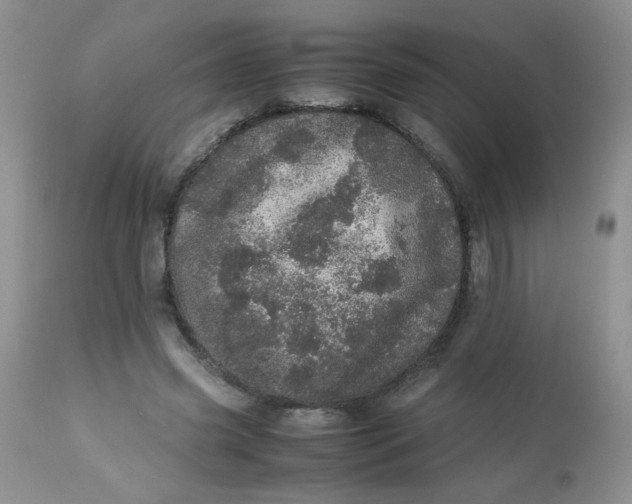 X0000113560541200910091417