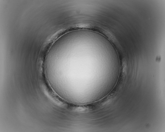 X0000113560542200910091417