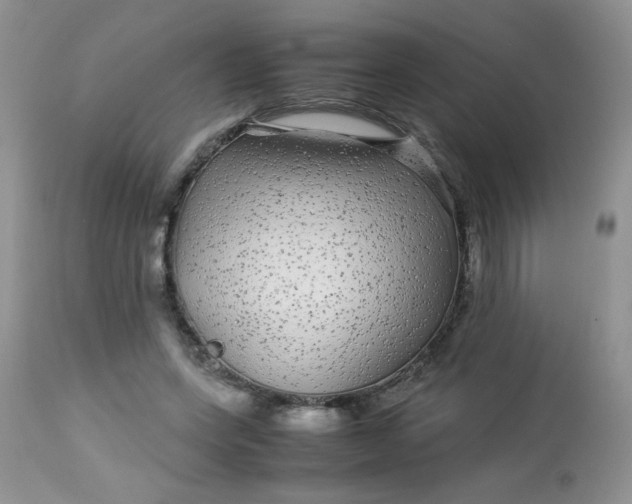 X0000113560543200910091417