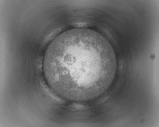 X0000113560545200910091417