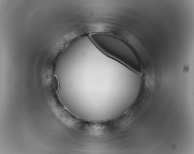 X0000113560546200910091417