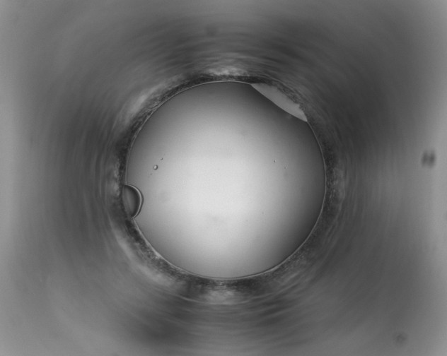 X0000113560547200910091417