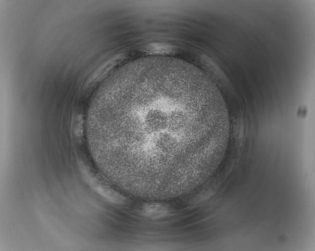 X0000113560549200910091417
