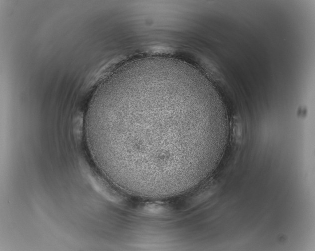 X0000113560550200910091417