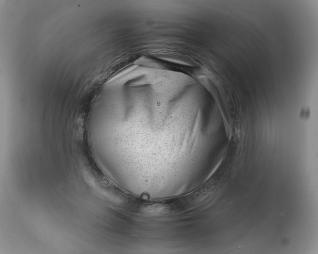 X0000113560551200910091417