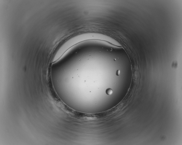 X0000113560552200910091417