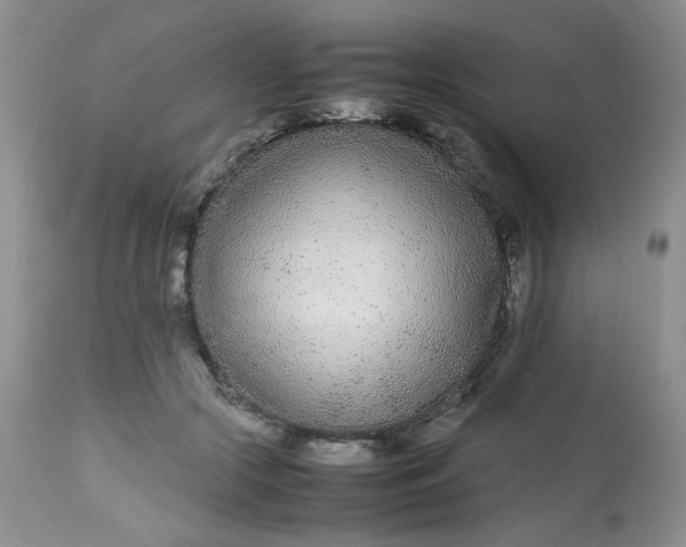 X0000113560553200910091417