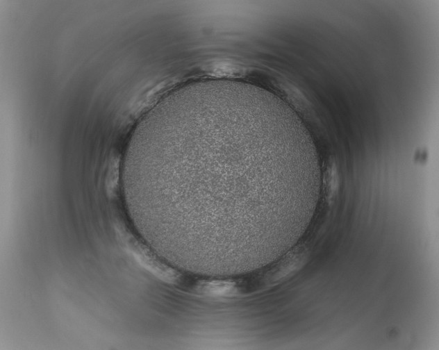 X0000113560554200910091417