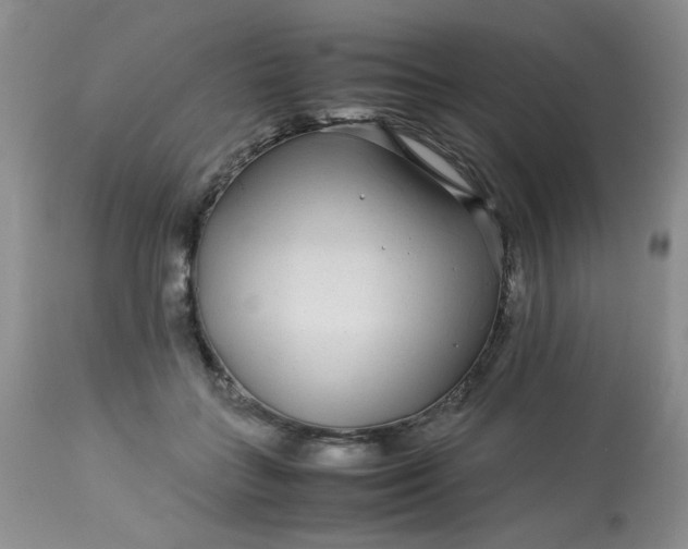 X0000113560555200910091417