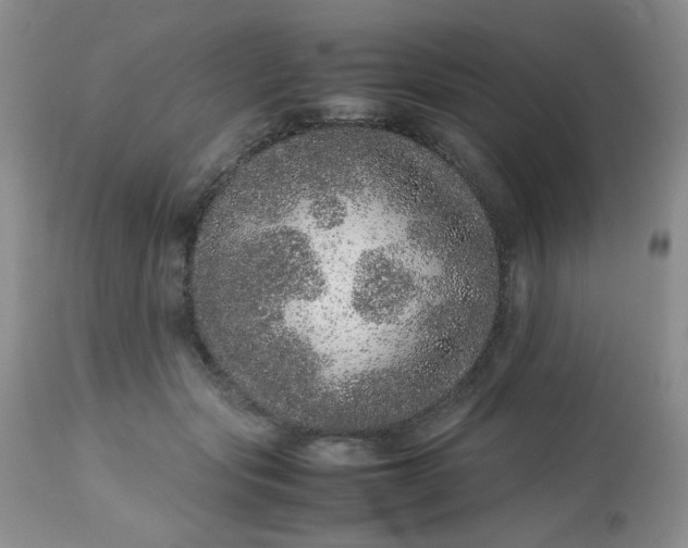 X0000113560557200910091417