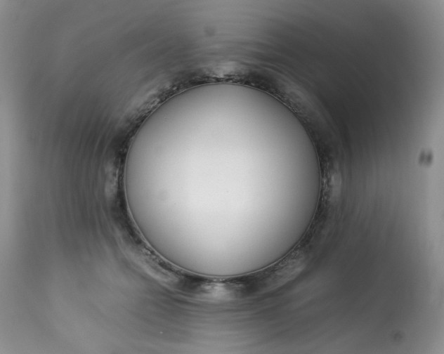 X0000113560558200910091417