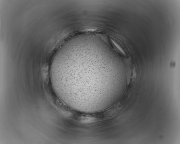 X0000113560559200910091417